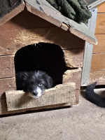 /album/179/594130176-1212405130987551-5612548655389303937-n-jpg/