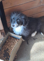 /album/179/594217817-1212405027654228-319451441567356913-n-jpg/