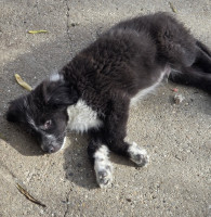 /album/213/595707670-1212397207655010-7411127499174716896-n-jpg/