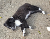 /album/213/595770071-1212397177655013-1617375176335604628-n-jpg/