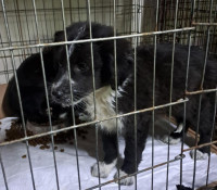 /album/213/594352306-1212397320988332-1269388332188941284-n-jpg/