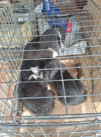 /album/213/587759829-2586394505080055-4773797686699826790-n-jpg1/