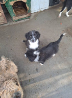 /album/213/586324748-2586394088413430-968489215676850952-n-jpg/