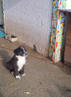 /album/213/587531078-2586393645080141-7870728425599245949-n-jpg/