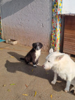 /album/213/586463213-2586394581746714-615389274729780369-n-jpg/