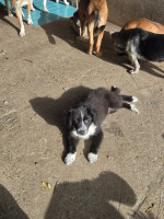 /album/213/594483271-1183830993852814-3844535024486813083-n-jpg/