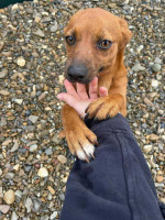 /album/198/585367003-1247021930805113-1144983524082292229-n-jpg/