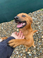 /album/198/584086059-1247022224138417-4951765596455531336-n-jpg/