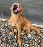 /album/198/585257813-1247022100805096-5656432721720086613-n-jpg/