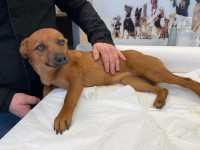 /album/198/584415329-1247022034138436-670776683491569283-n-jpg/