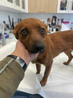 /album/198/586076570-1247022244138415-6296944948507025991-n-jpg/