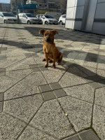 /album/198/585049881-1247022094138430-4748740509222288971-n-jpg/