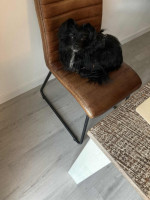 /album/08-12-2025/3d789676-406f-40fa-888e-367b70b2068b-jpeg/