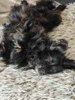 /album/08-12-2025/a048e81e-2e53-47ac-b33e-92d024aa1f1c-jpeg/