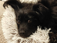 /album/08-12-2025/653edf1d-4d1e-41c5-86b4-fa360d9af022-jpeg/