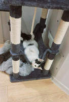 /album/12-12-2025/88dc1c82-f8a2-44e6-ba21-9c50da0d6e3d-jpeg/