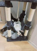 /album/12-12-2025/42a3b604-10d7-4914-8613-4c7ff5c04460-jpeg/