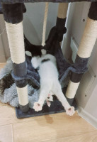 /album/12-12-2025/d9384c23-a524-4e0d-bb64-56ef6f8ffe52-jpeg/