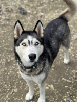 /album/188/587943753-10235348604967761-4813403803729193688-n-jpg/