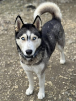 /album/188/587870847-10235348604647753-7302301299973839663-n-jpg/