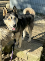 /album/188/587397286-10235348604167741-2406693912138324389-n-jpg/