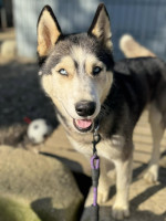 /album/188/589073373-10235348603927735-7898636739901461270-n-jpg/