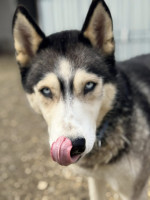 /album/188/588419551-10235348603447723-6263428775608595008-n-jpg/