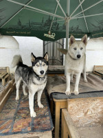 /album/188/590342757-10235408459744093-7074726613364833937-n-jpg/