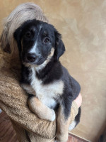 /album/214/599933428-1281786240647379-1316107207687647549-n-jpg/