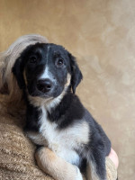 /album/214/600289090-1281786103980726-8446524504008612059-n-jpg/