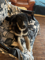 /album/214/600266477-1281785970647406-4110837357368403613-n-jpg/