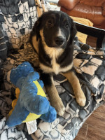 /album/214/599865074-1281786467314023-8901098957940890812-n-jpg/