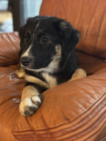 /album/214/599592357-1281786373980699-7565429678981475384-n-jpg/