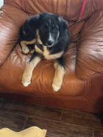 /album/214/600299082-1281786437314026-8740650715136759190-n-jpg/