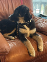 /album/214/599210858-1281786017314068-6128499951481432268-n-jpg/