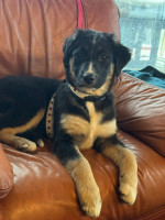 /album/214/600282072-1281786287314041-4566328192725729098-n-jpg/