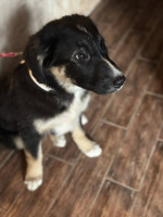 /album/214/600358055-1281786163980720-738415609069979175-n-jpg/