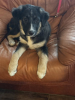 /album/214/598990467-1281786083980728-9209031278098631308-n-jpg/