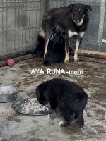 /album/214/599707932-1281786147314055-8122674595939718160-n-jpg/