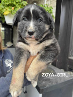 /album/214/599957285-1281786010647402-7893260369927020165-n-jpg/