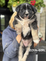 /album/214/600211945-1281786127314057-4552087789882728744-n-jpg/