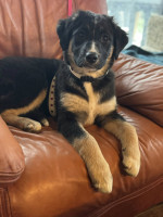 /album/214/598493914-1281786367314033-5813637237032083293-n-jpg/