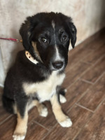 /album/214/600230443-1281786060647397-268949180751089424-n-jpg/