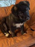 /album/246/593572103-1273329114826425-2873312154802564976-n-jpg/