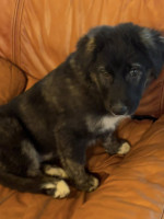 /album/246/593787559-1273328988159771-9014397469555648034-n-jpg/