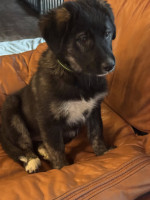 /album/246/594122999-1273329021493101-3391225512797309271-n-jpg/