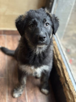 /album/246/593588300-1273329034826433-1925737562847750527-n-jpg/