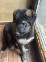 /album/246/593660637-1273329068159763-6496753302581221861-n-jpg/