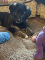 /album/246/593603472-1273329231493080-8263217434951157911-n-jpg/