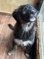 /album/246/594407518-1273328968159773-1834971746225387401-n-jpg/